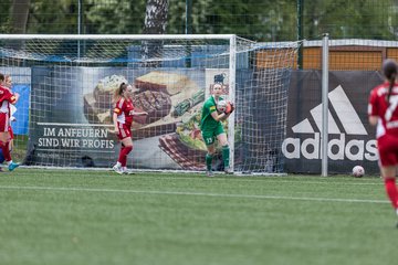 Bild 108 - F Hamburger SV 2 - SpVg Aurich : Ergebnis: 1:1